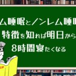 レム睡眠とノンレム睡眠の特徴を知れば明日から8時間寝たくなる