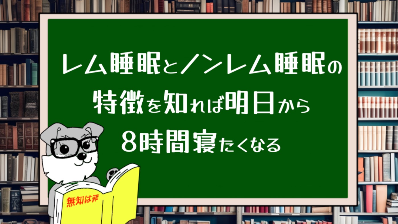 レム睡眠とノンレム睡眠の特徴を知れば明日から8時間寝たくなる