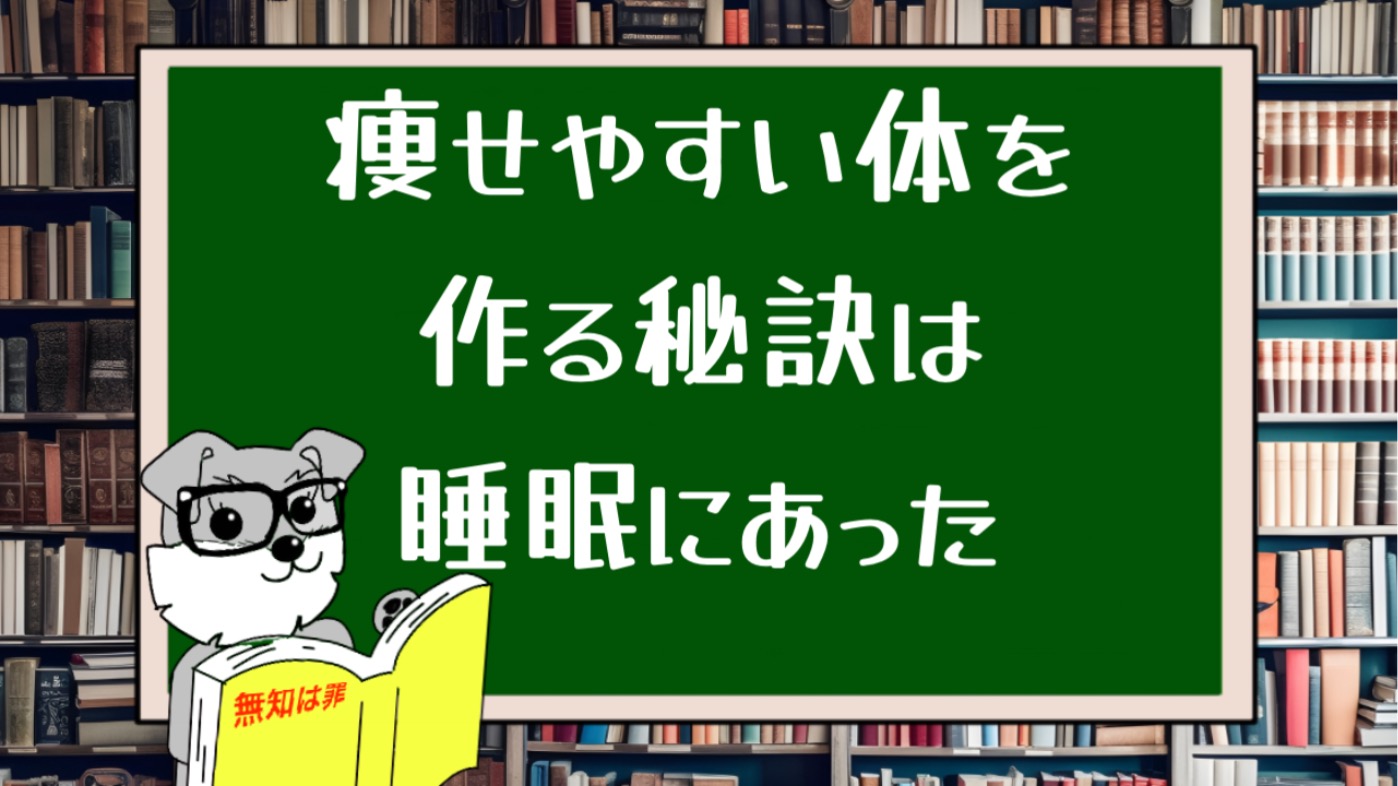 痩せやすい体を作る秘訣は睡眠にあった