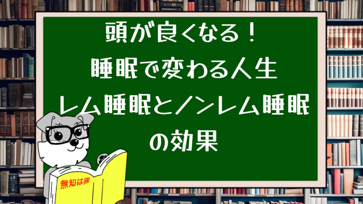 頭が良くなる！睡眠で変わる人生：レム睡眠とノンレム睡眠の効果