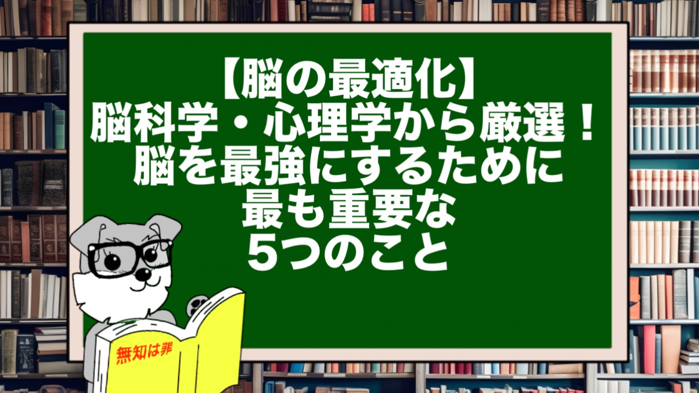 【脳の最適化】脳科学・心理学から厳選！脳を最強にするために最も重要な5つのこと