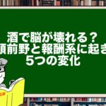 酒で脳が壊れる?前頭前野と報酬系に起きる5つの変化