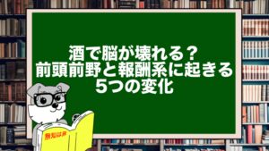 酒で脳が壊れる?前頭前野と報酬系に起きる5つの変化