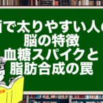 酒で太りやすい人の脳の特徴|血糖スパイクと脂肪合成の罠