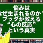 悩みはなぜ生まれるのか?|ブッダが教える“心の反応”という真実