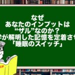 なぜあなたのインプットは“ザル”なのか?科学が解明した記憶を定着させる「睡眠のスイッチ」