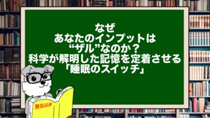 なぜあなたのインプットは“ザル”なのか?科学が解明した記憶を定着させる「睡眠のスイッチ」