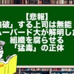 【悲報】「論破」する上司は無能！？ハーバード大が解明した、組織を腐らせる「猛毒」の正体