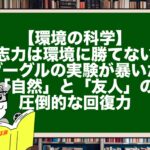 【環境の科学】意志力は環境に勝てない！グーグルの実験が暴いた「自然」と「友人」の圧倒的な回復力