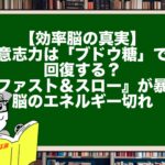 【効率脳の真実】意志力は「ブドウ糖」で回復する？『ファスト＆スロー』が暴く脳のエネルギー切れ