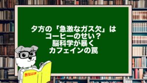 夕方の「急激なガス欠」はコーヒーのせい？脳科学が暴くカフェインの罠